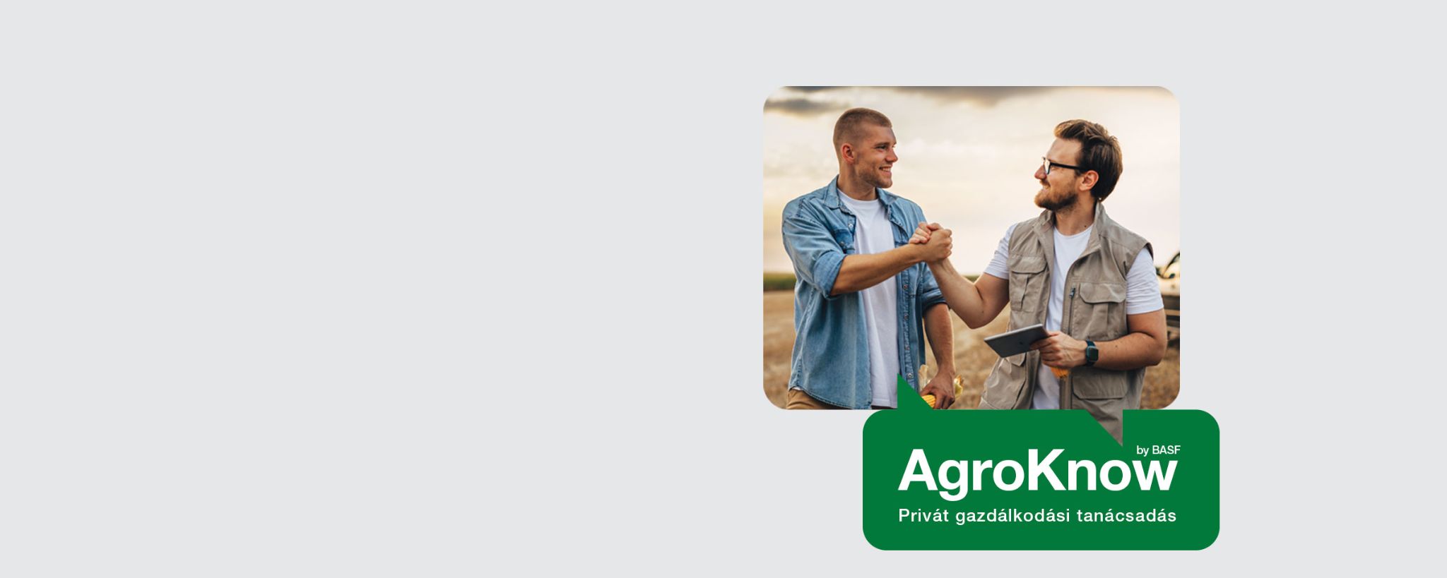 Fuzáriumos betegség